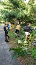 Youth weeding on the Greenway